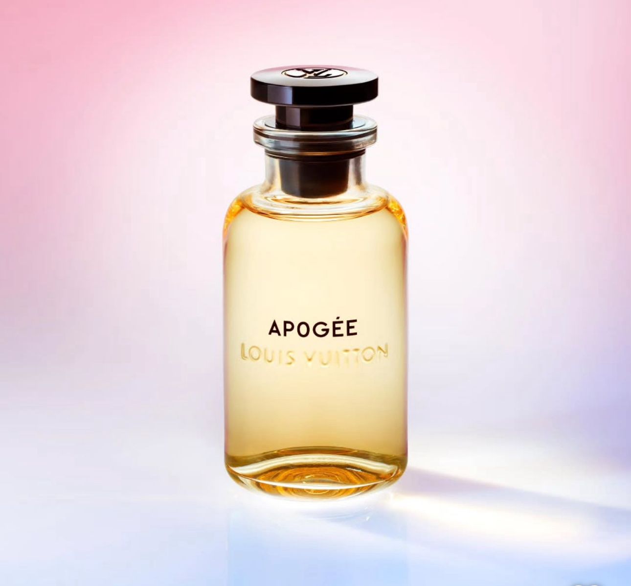 LOU_IS VUITTON APPGEE